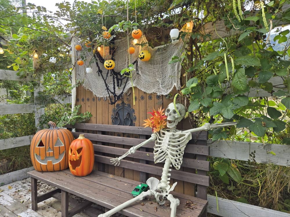 가평 고요재 정원