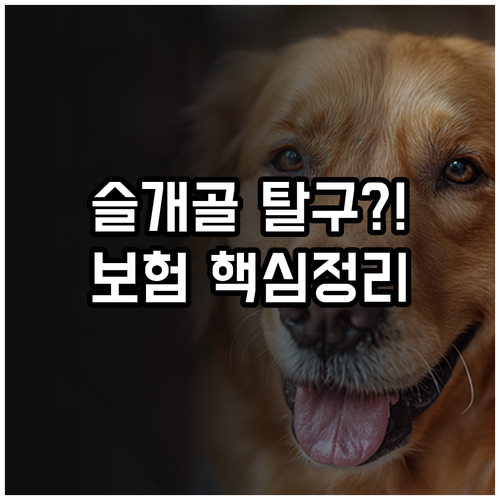 슬개골 탈구 펫보험 면책기간은? 장기..