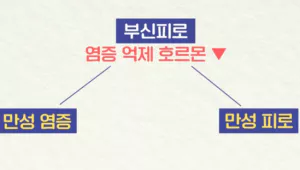 피로1