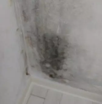 신축아파트-결로현상