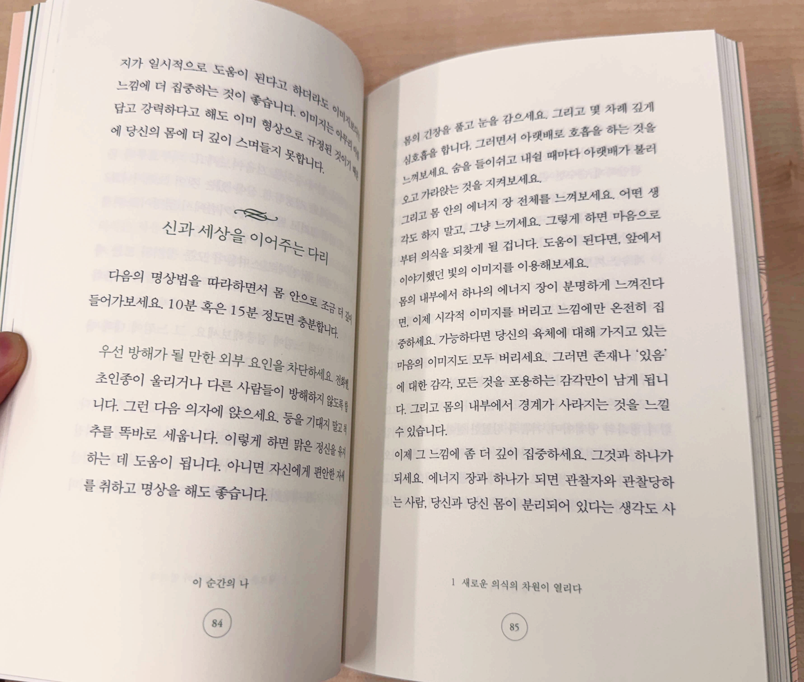 에크하르트 톨레 이 순간의 나