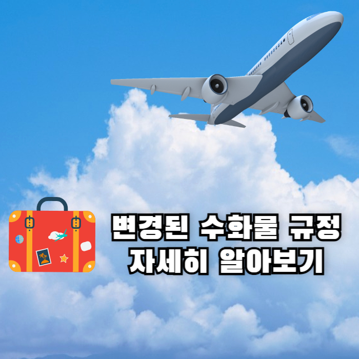 수화물 규정