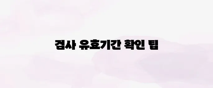 자동차 검사 유효기간 조회 방법 (인터넷·모바일 간편 조회)