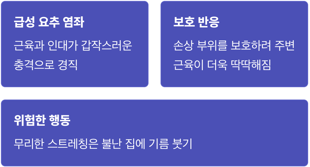 삐끗! 내 허리에 무슨 일이?