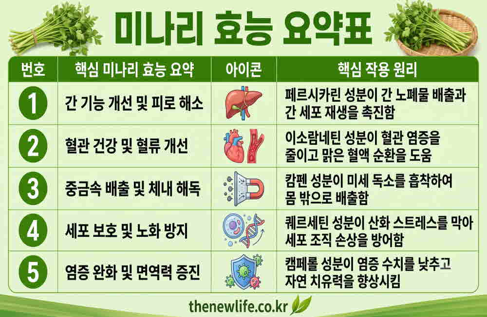 미나리 효능 요약표