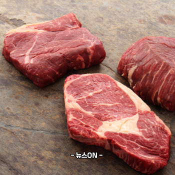 콜라겐 많은 음식