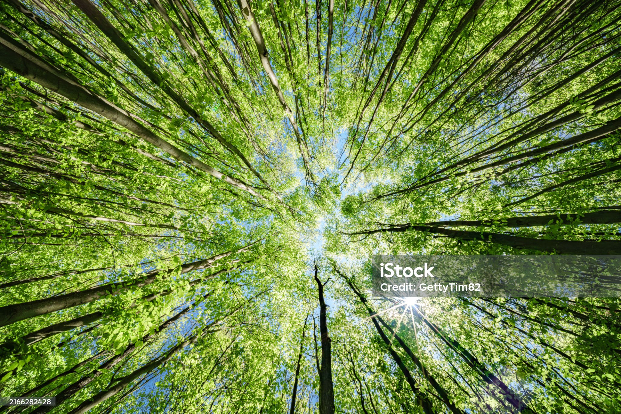 AI 챗봇으로 우울증 관리하기: 집에서 시작하는 디지털 마음 돌봄