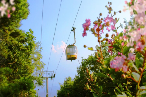 팔공산 케이블카