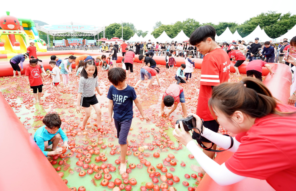 퇴촌 토마토 축제