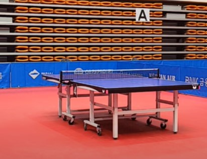 pingpong