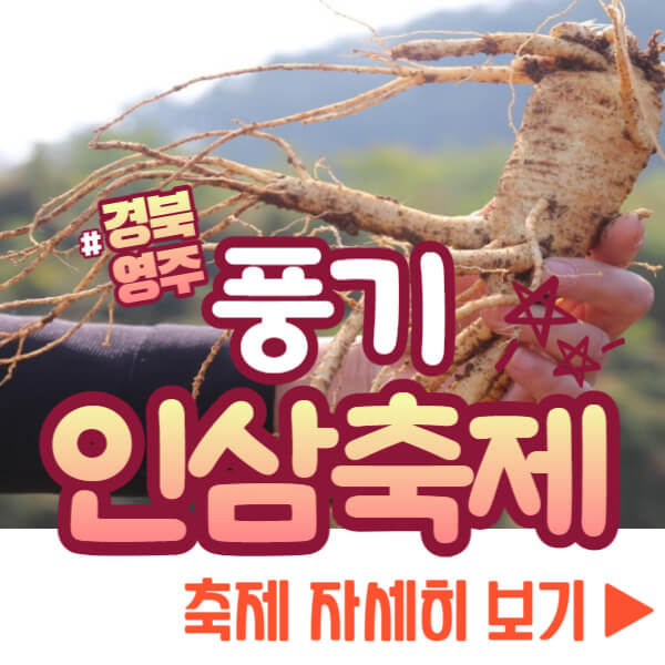 풍기인삼축제 자세히 보기