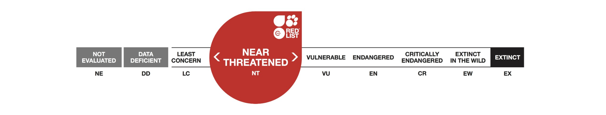 남쪽털코웜뱃의 적색목록
