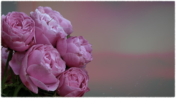 인도항공기사고