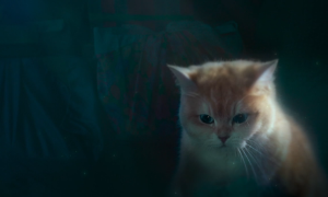 JTBC드라마 &#39;낮과 밤이 다른 그녀&#39; 1화 줄거리