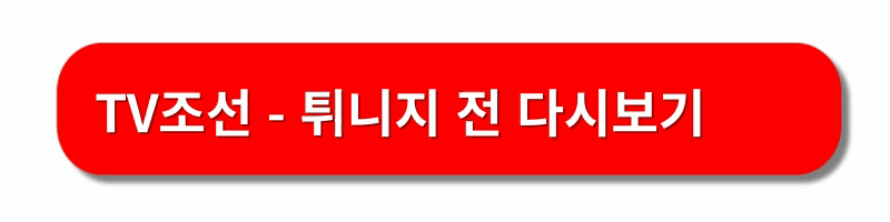 한국대튀니지-축구경기