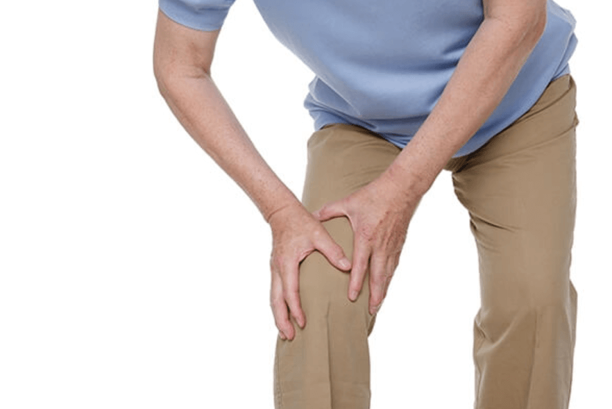 콘드로이친-효능-복용법