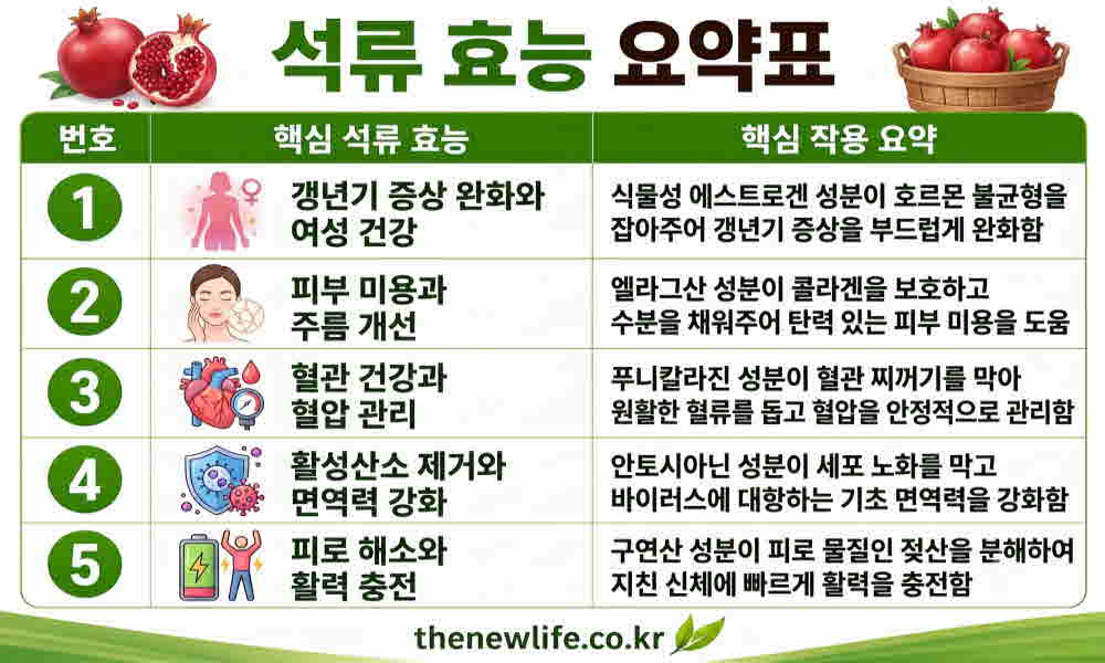 석류 효능 요약표