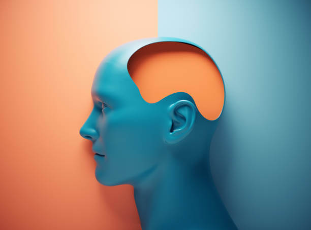 about brain