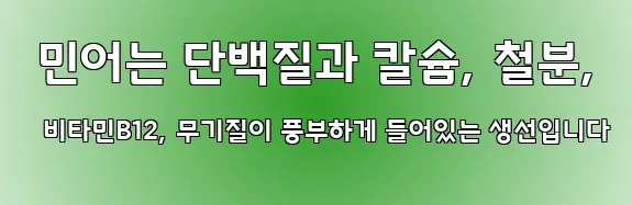  민어는 단백질과 칼슘, 철분, 비타민B12, 무기질이 풍부하게 들어있는 생선입니다