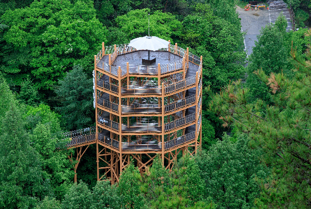 장태산자연휴양림 스카이타워
