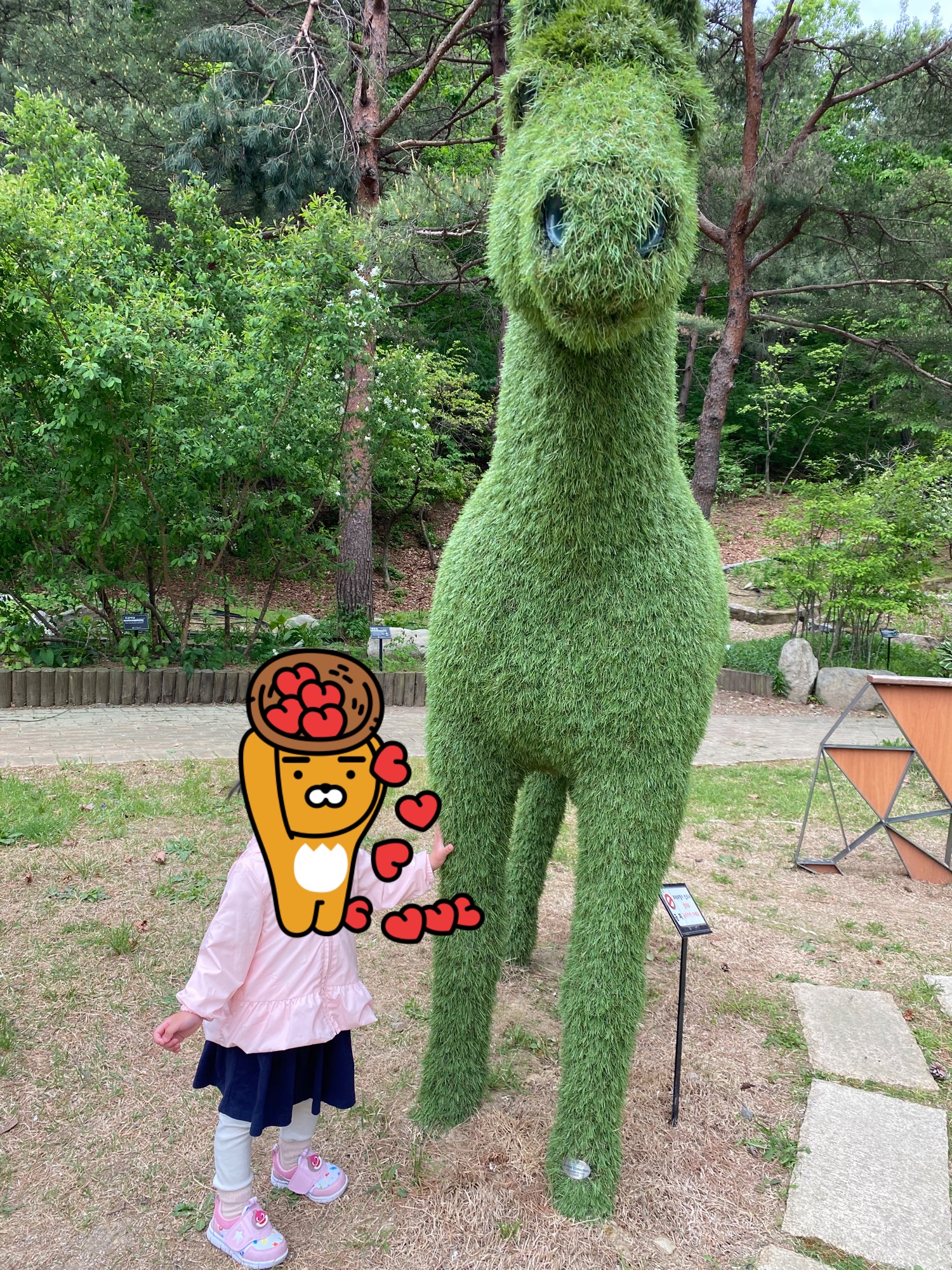 강릉솔향수목원 잔디광장 기린