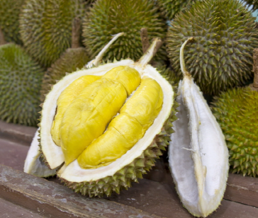 두리안 효능과 섭취 팁