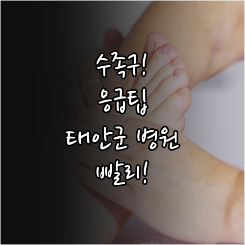 태안군 수족구 병원 찾기와 응급 대처..