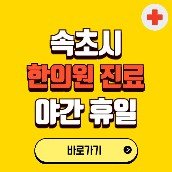 속초시 야간 휴일 한의원 한방병원 찾기 ❘ 24시 일요일 주말 연휴 응급진료 추천 잘하는 곳