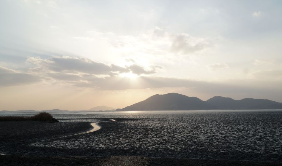 와온해변