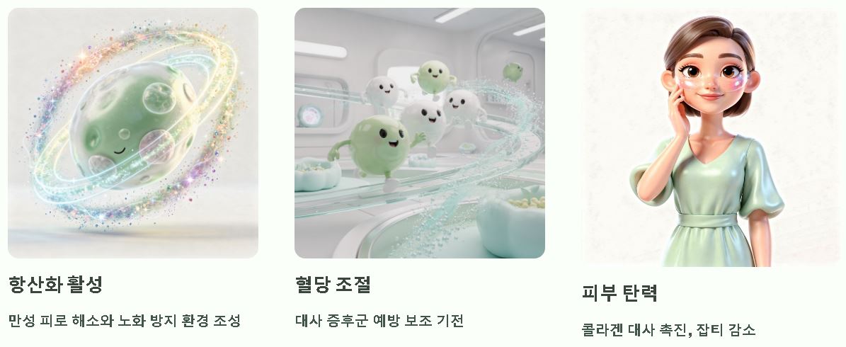 토사자 효능 효과 먹는법