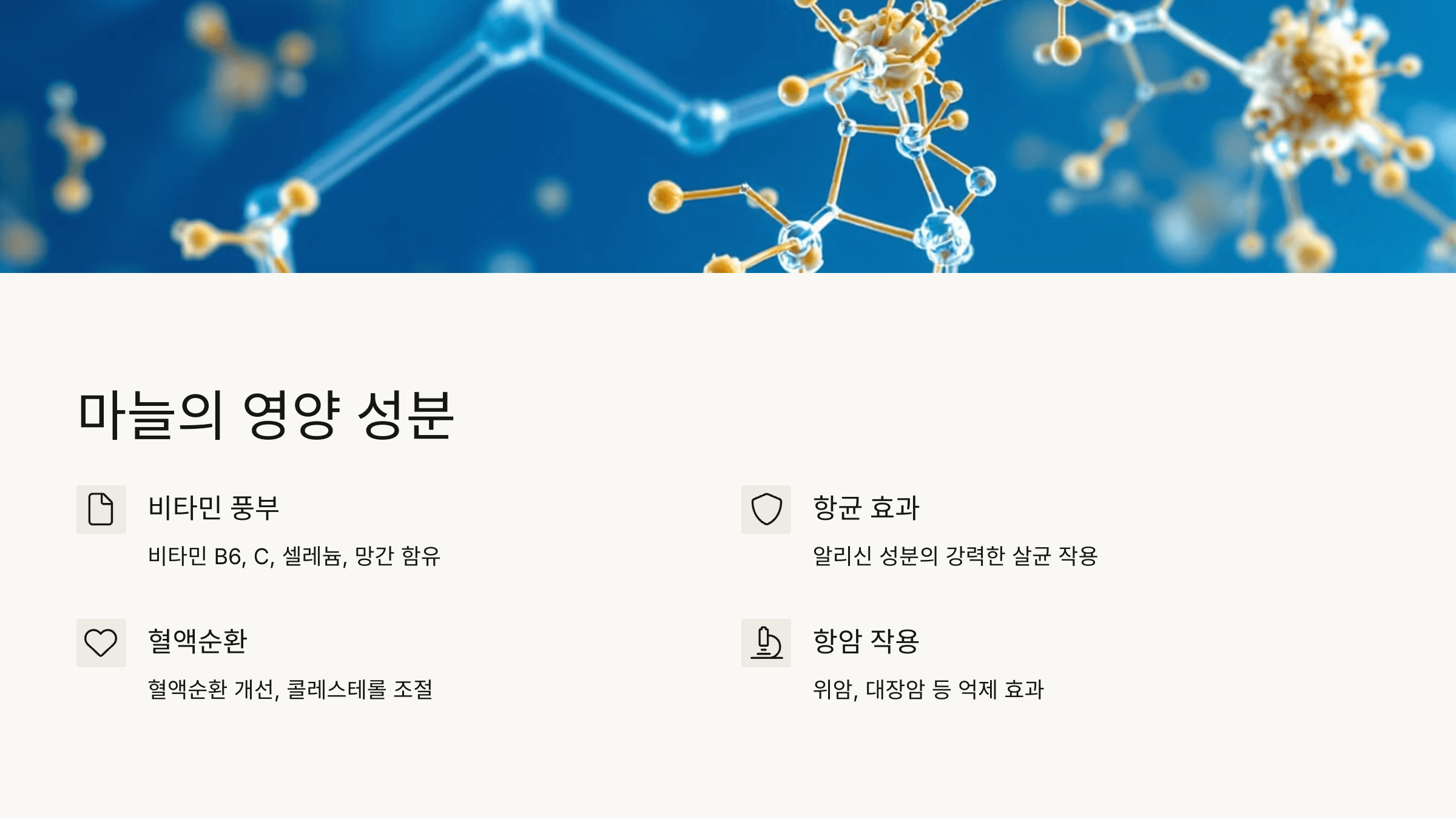 마늘 사진입니다.