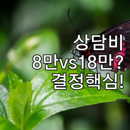 개인 심리상담 비용 8만원부터 18만..