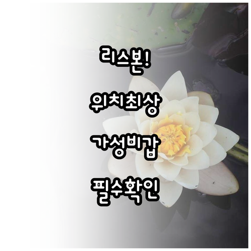 포르투갈 리스본 자유여행 위치 최고인..