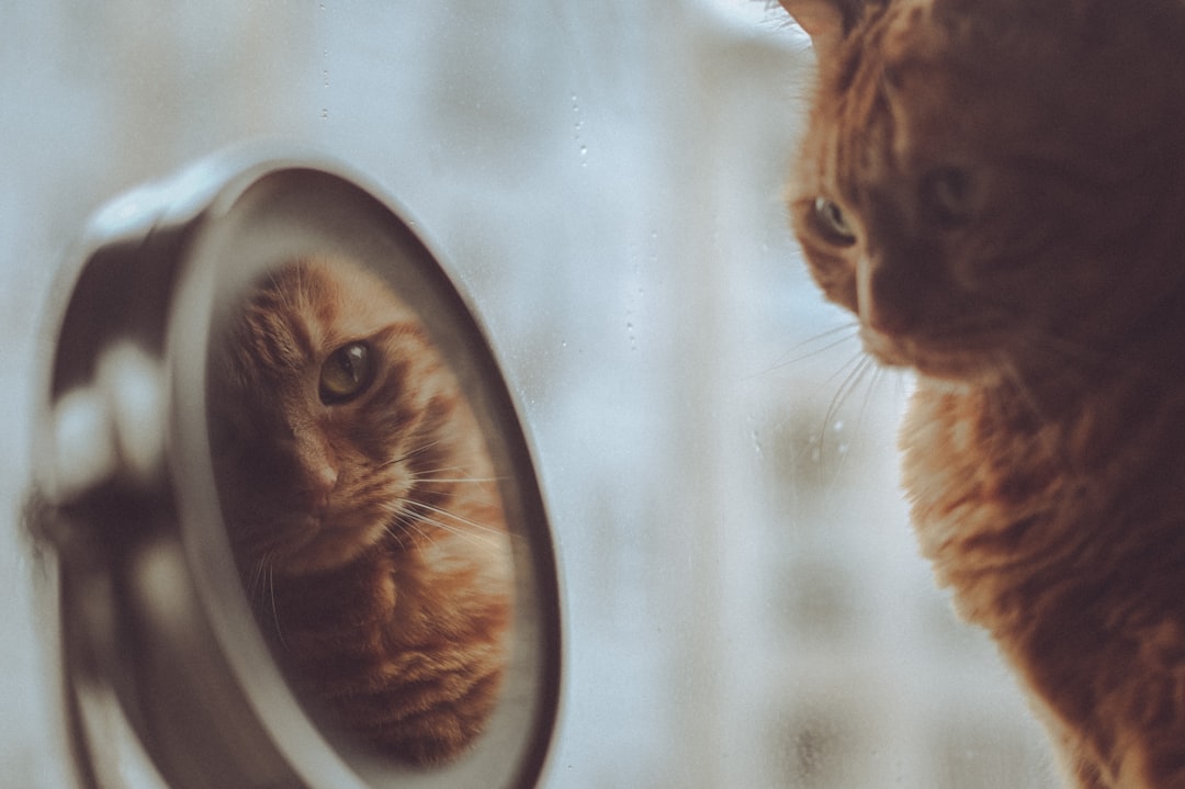 Self-development