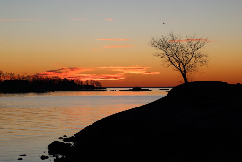 2026- 새해 -해돋이- 명소- BEST 5 - 일출시간- & 예약정보- 총정리-88