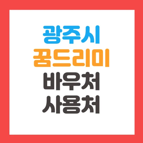 광주시 꿈드리미바우처 카드 사용처 및 잔액조회 알아보기