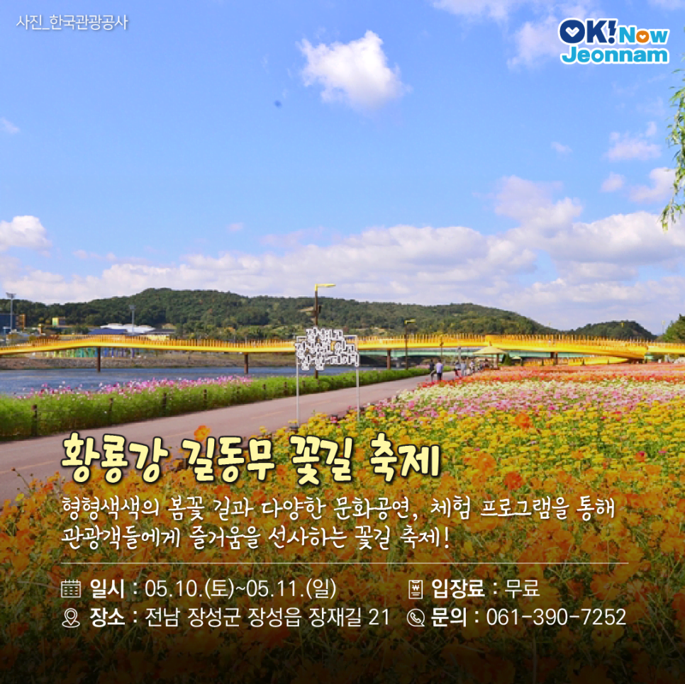 전남 봄 걷기 축제 & 마라톤 총정리|2025년 봄 여행 추천