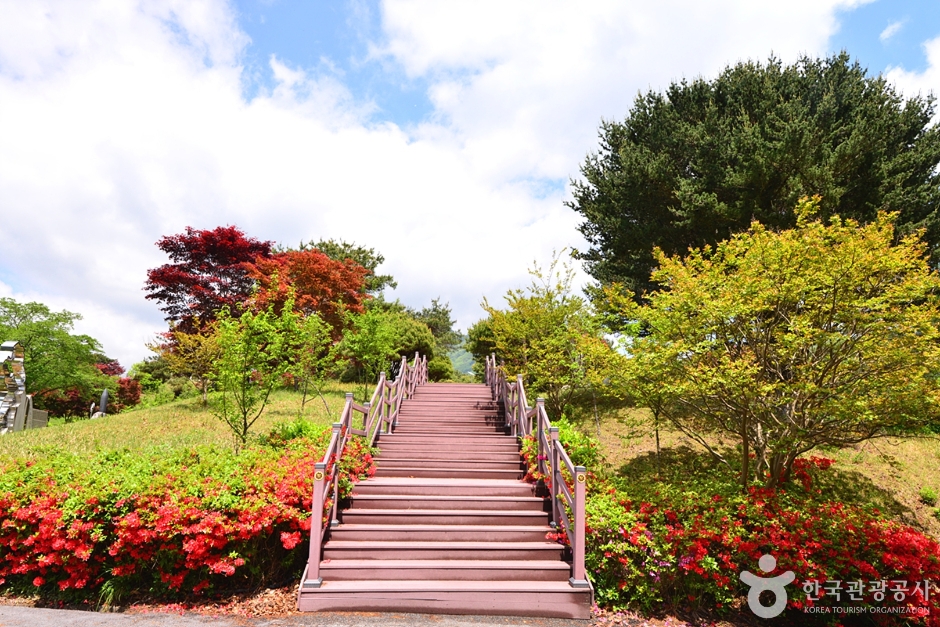 장성 가볼만한곳 베스트 10