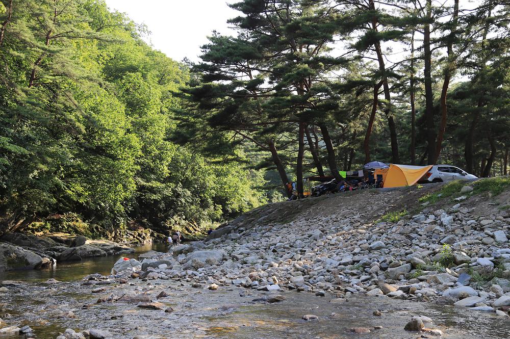 인생캠핑장, 영월 솔밭캠프장 소개