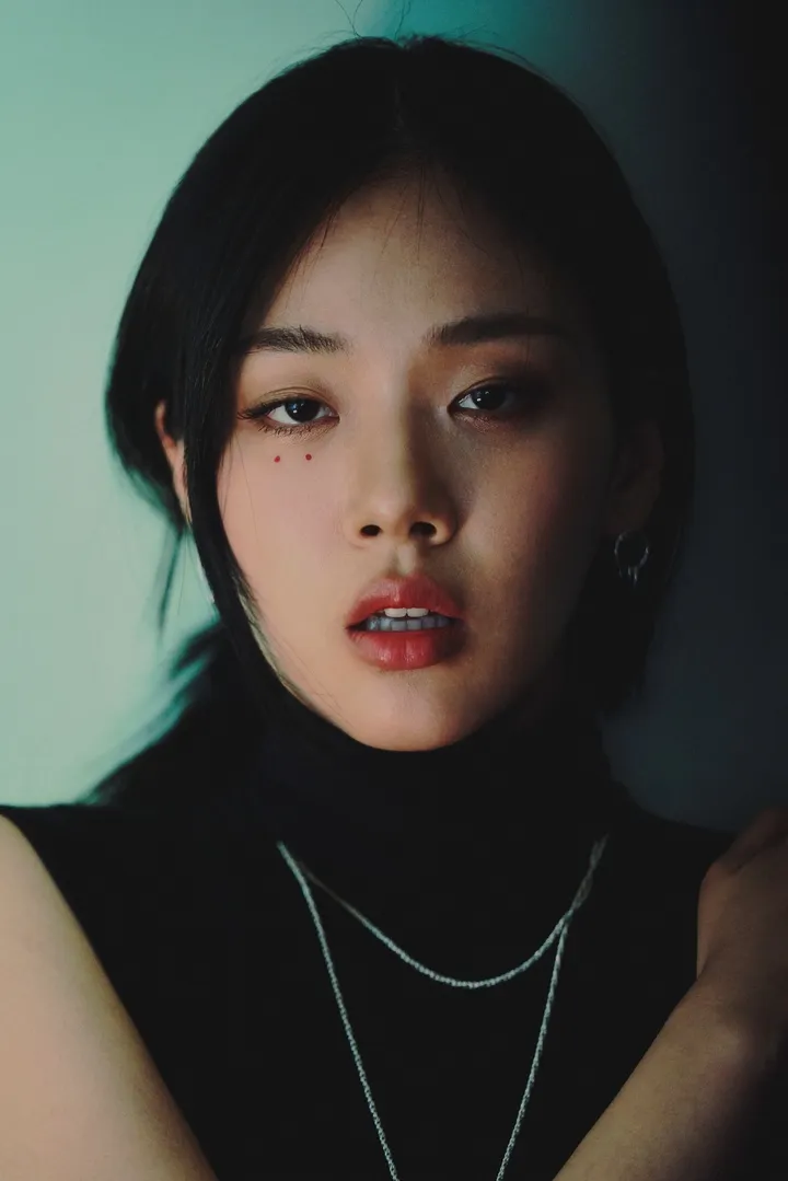 몽픽 바로가기