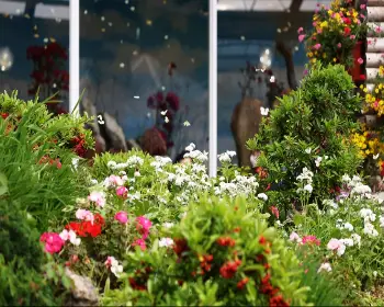 함평나비축제_14