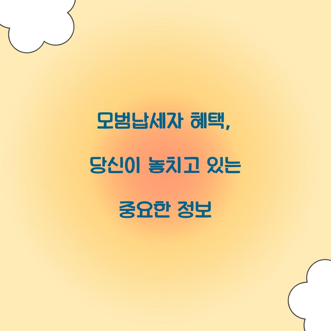 모범납세자 혜택