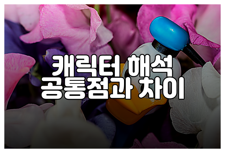 캐릭터 해석 공통점과 차이
