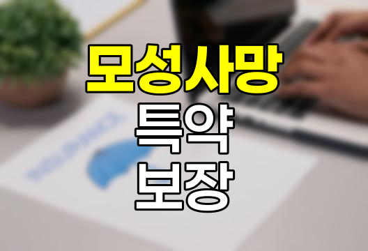 현대해상 모성사망 특약, 임신과 출산의 든든한 보호막