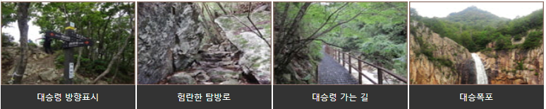 남교리장수대
