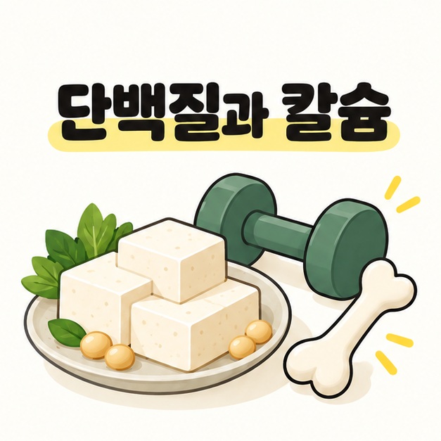 두부의 단백질과 칼슘 공급을 표현한 두부와 콩 그림