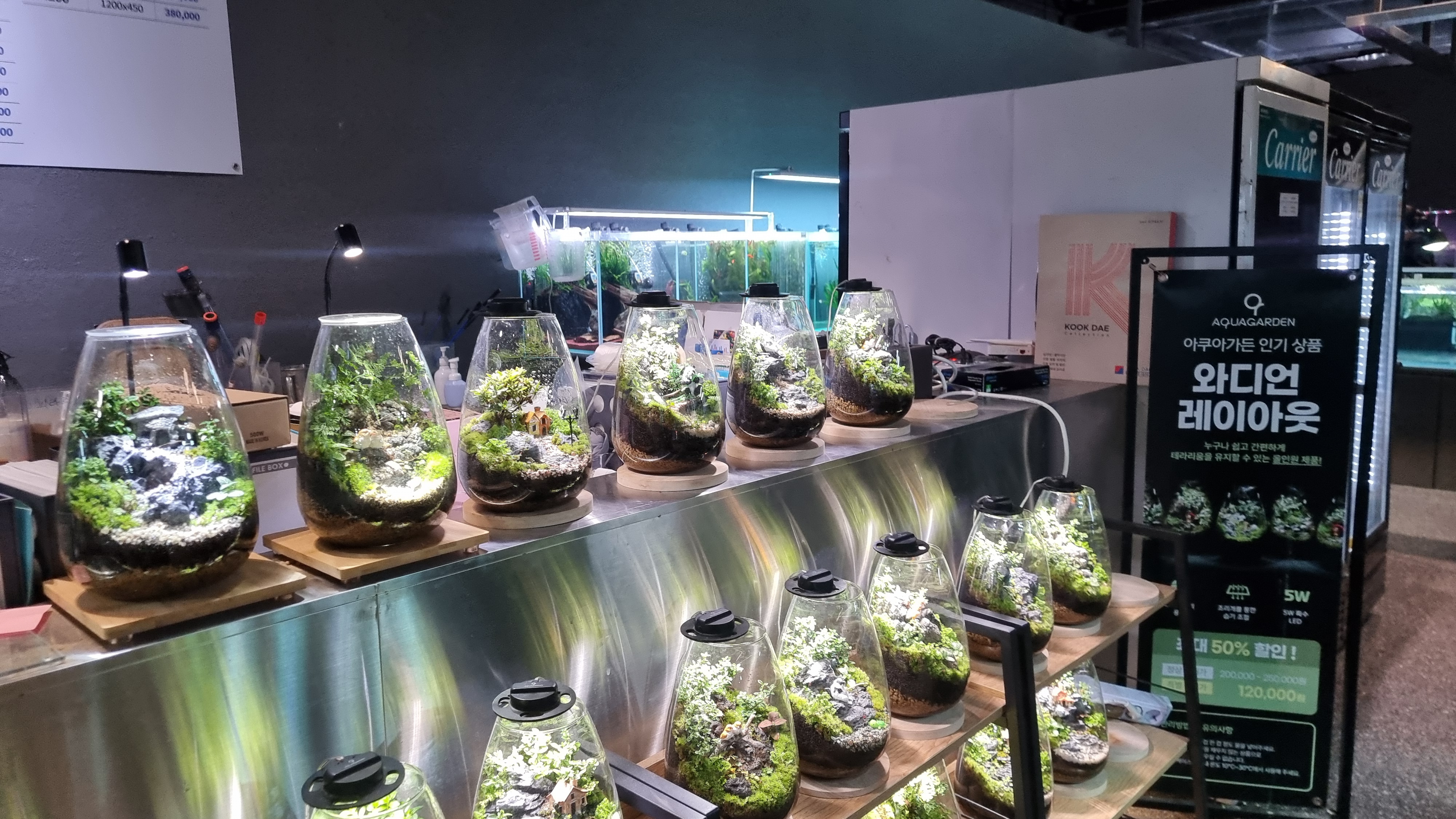 아쿠아가든카페 비바리움