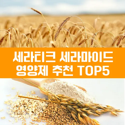 세라마이드 영양제