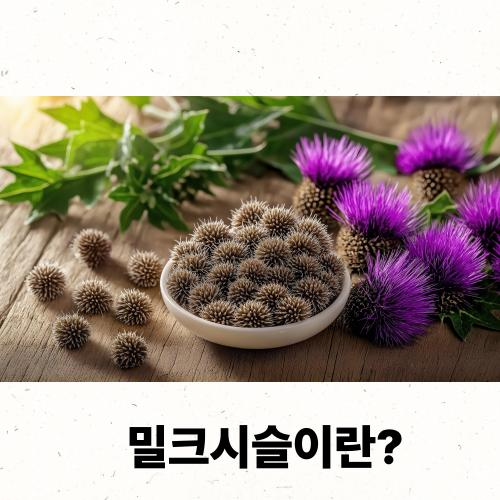 간건강