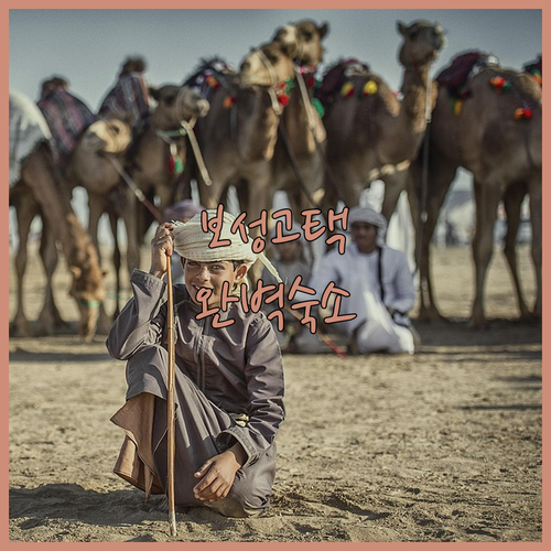 보성 노동면 전통 고택 마을 산책로와..